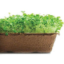 Urban Cultivator Power Kale Seeds SDB-KAL IMAGE 1