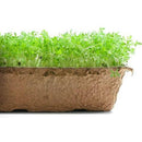Urban Cultivator Zesty Peppercres Seeds SDB-PEP IMAGE 1