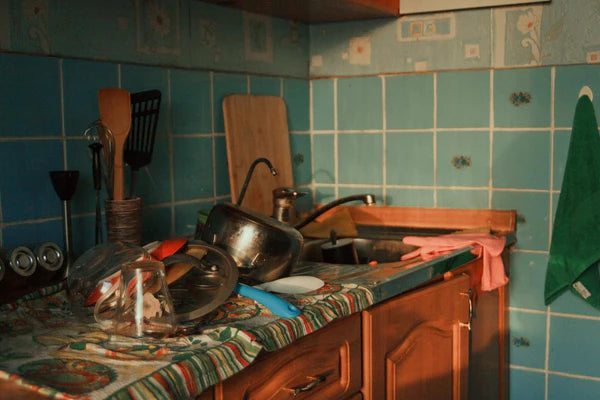The Dirt on Dishwashers: The Handy Appliance