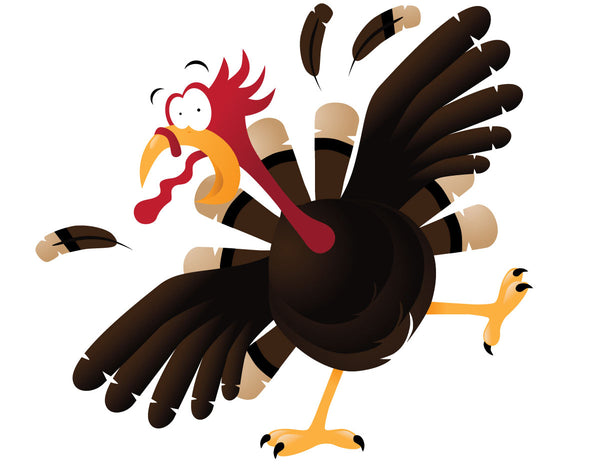 5 Ways to Burn a Turkey With Your Kamloops Appliances
