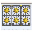 Caliber Appliances 36-inch Gas Rangetop CG36-L IMAGE 1