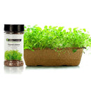 Urban Cultivator Organic Fragrant Cilantro Seeds SD-CIL IMAGE 1