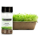 Urban Cultivator Organic Citrus Dill Seeds SD-DIL IMAGE 1