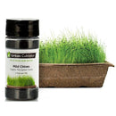 Urban Cultivator Organic Mild Chives Seeds SD-CHI IMAGE 1