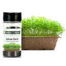 Urban Cultivator Organic Delicate Chervil Seeds SD-CHE IMAGE 1