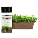 Urban Cultivator Organic Crunchy Cabbage Seeds SD-CAB IMAGE 1