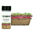 Urban Cultivator Organic Malt Amaranth Seeds SD-AMA IMAGE 1