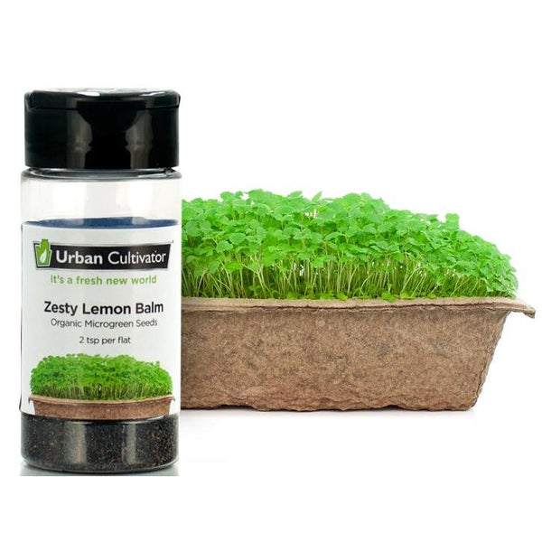 Urban Cultivator Organic Tangy Lemon Balm Seeds SD-LEM IMAGE 1
