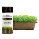 Urban Cultivator Organic Crisp Lettuce Seeds SD-LET IMAGE 1