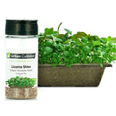 Urban Cultivator Organic Licorice Shiso Seeds SD-SHI IMAGE 1