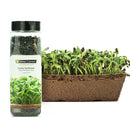Urban Cultivator Organic Hearty Sunflower Seeds SD-SUN IMAGE 1