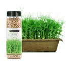 Urban Cultivator Organic Amber Pea Seeds SD-YEL IMAGE 1