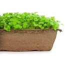 Urban Cultivator Pepper Arugula Seeds SDB-ARU IMAGE 1