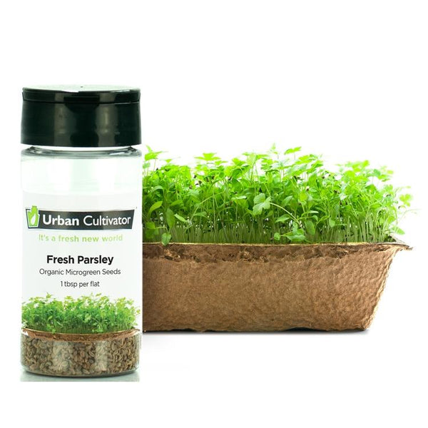 Urban Cultivator Fresh Parsley Seeds SD-PAR IMAGE 1