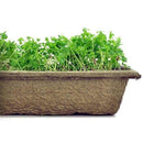 Urban Cultivator Nutty Flax Seeds SDB-FLA IMAGE 1