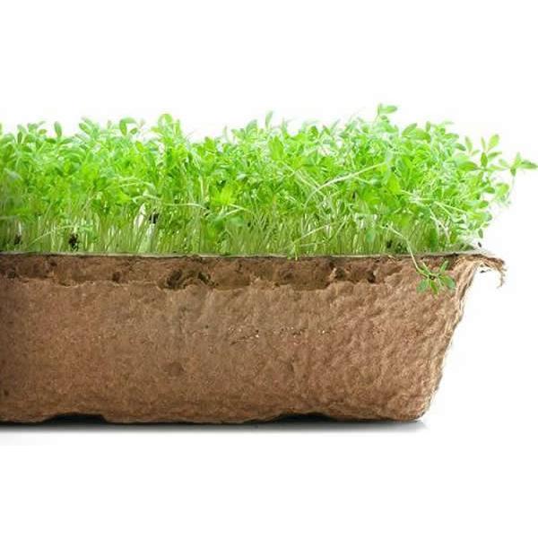 Urban Cultivator Zesty Peppercres Seeds SDB-PEP IMAGE 1