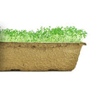 Urban Cultivator Umami Savory Seeds SDB-SAV IMAGE 1