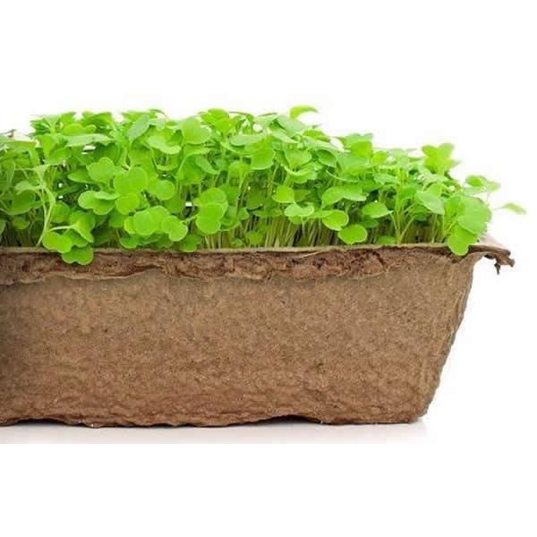 Urban Cultivator Indoor Gardening Accessories Seed Sheets SSC-ARU IMAGE 1