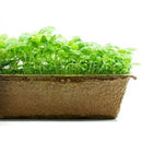 Urban Cultivator Indoor Gardening Accessories Sheets SSCBAS IMAGE 1