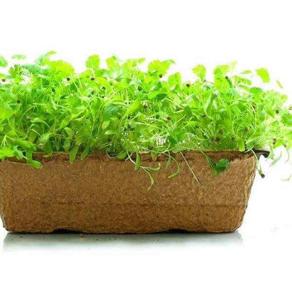 Urban Cultivator Indoor Gardening Accessories Seed Sheets SSC-CIL IMAGE 1
