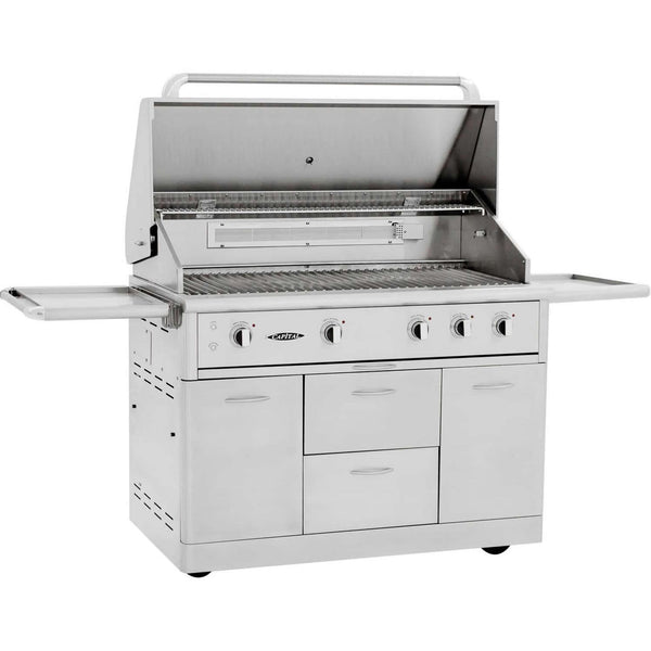 Capital Grills Gas Grills CG48RFS-N IMAGE 1