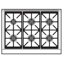 Wolf 36-inch Dual Fuel Range DF36650/S/P/LP IMAGE 3