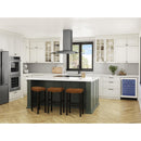  Zephyr 42-inch Core Ravenna Series Island Hood ZRE-E42BBSGG IMAGE 2