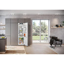 Liebherr 23-inch 10.5 cu.ft Refrigerator and Freezer Combo IRB5160 IMAGE 3